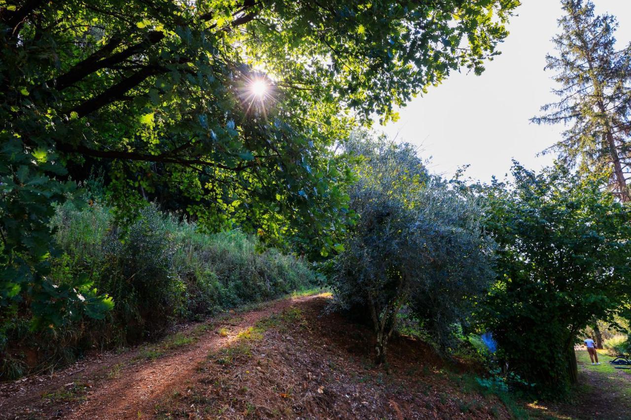 Agriturismo Terra Volonteri Montecatini Terme Luaran gambar