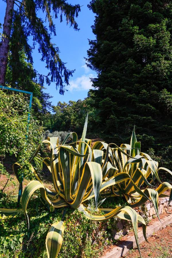 Agriturismo Terra Volonteri Montecatini Terme Luaran gambar