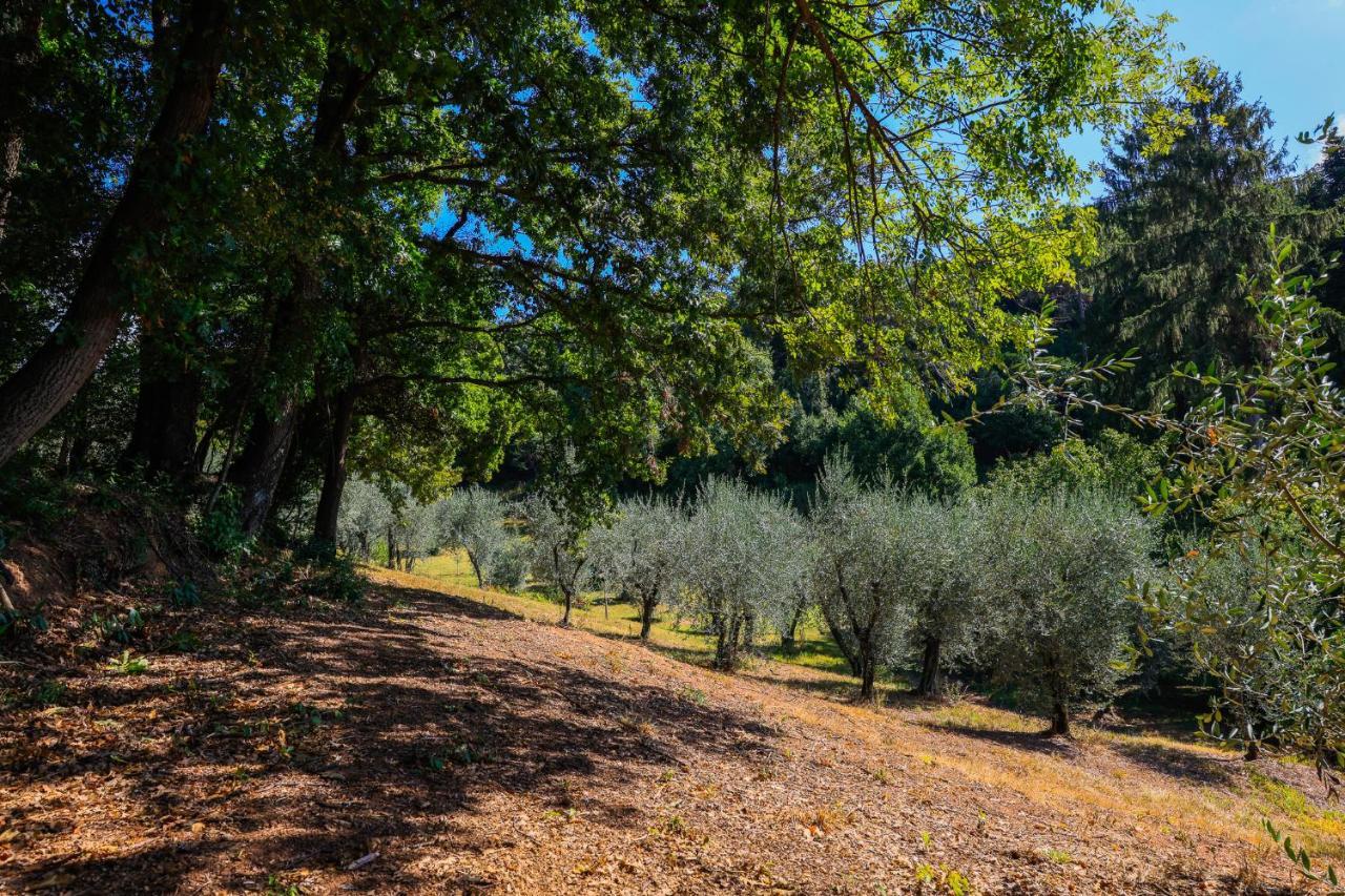 Agriturismo Terra Volonteri Montecatini Terme Luaran gambar