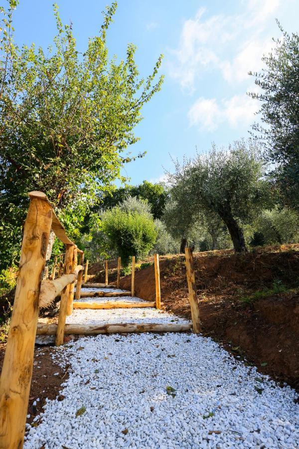 Agriturismo Terra Volonteri Montecatini Terme Luaran gambar