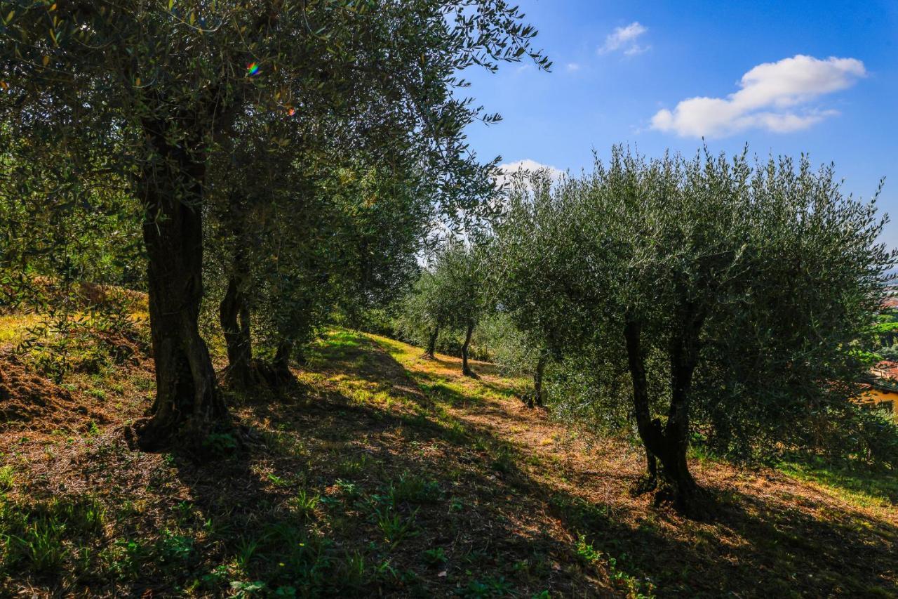 Agriturismo Terra Volonteri Montecatini Terme Luaran gambar