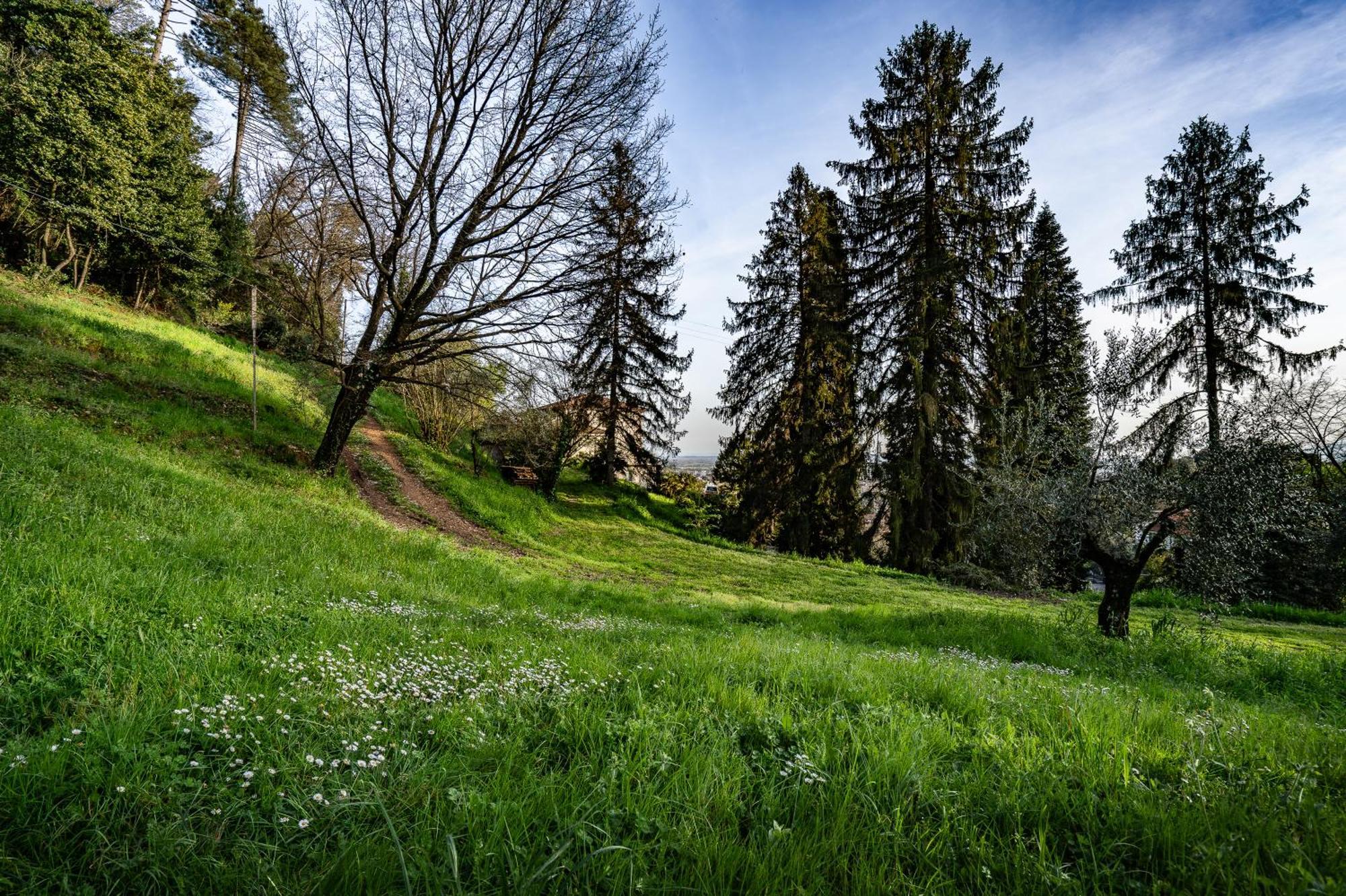 Agriturismo Terra Volonteri Montecatini Terme Luaran gambar